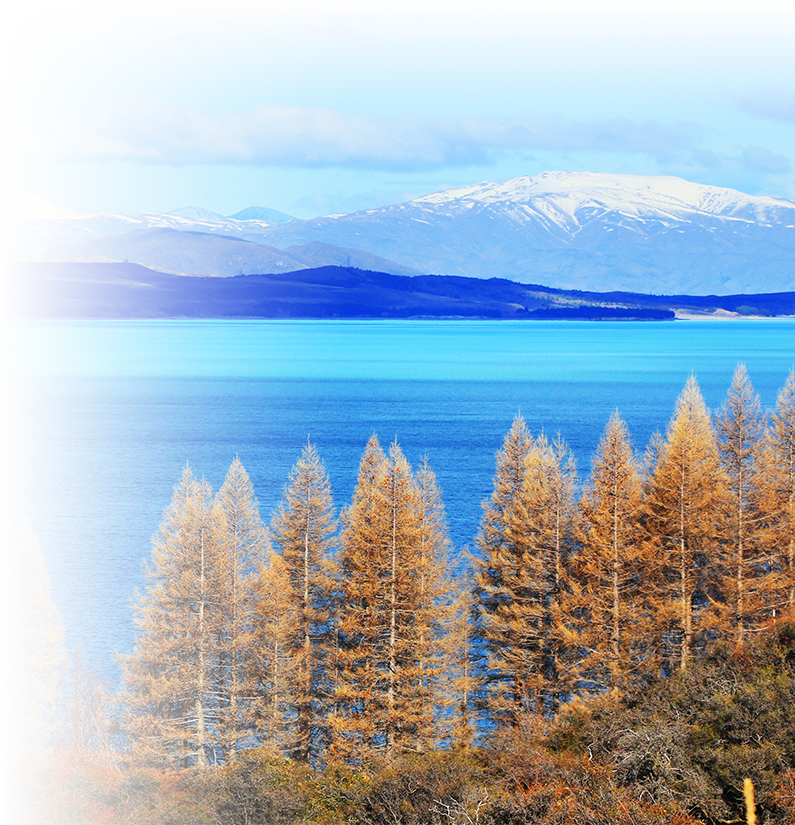 To Bring About Positive Genuine Customer Experience - Loch (795x825), Png Download