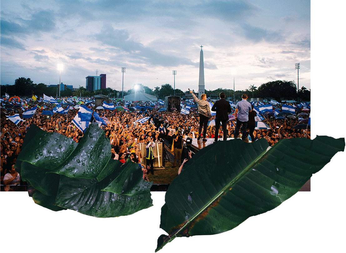 Experience History Being Made - Tree (1107x808), Png Download