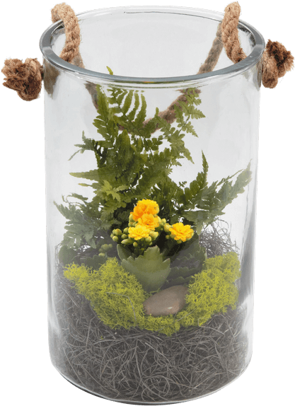Rope Terrarium - Royer's Flowers & Gifts (500x611), Png Download