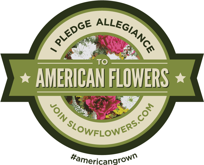 Slow Flowers - Five Star Movement (800x657), Png Download