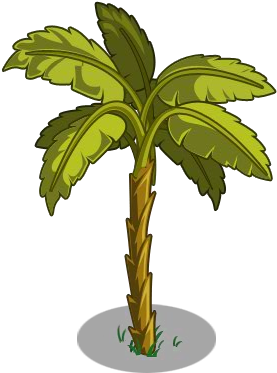 Cuban Banana Tree (300x400), Png Download