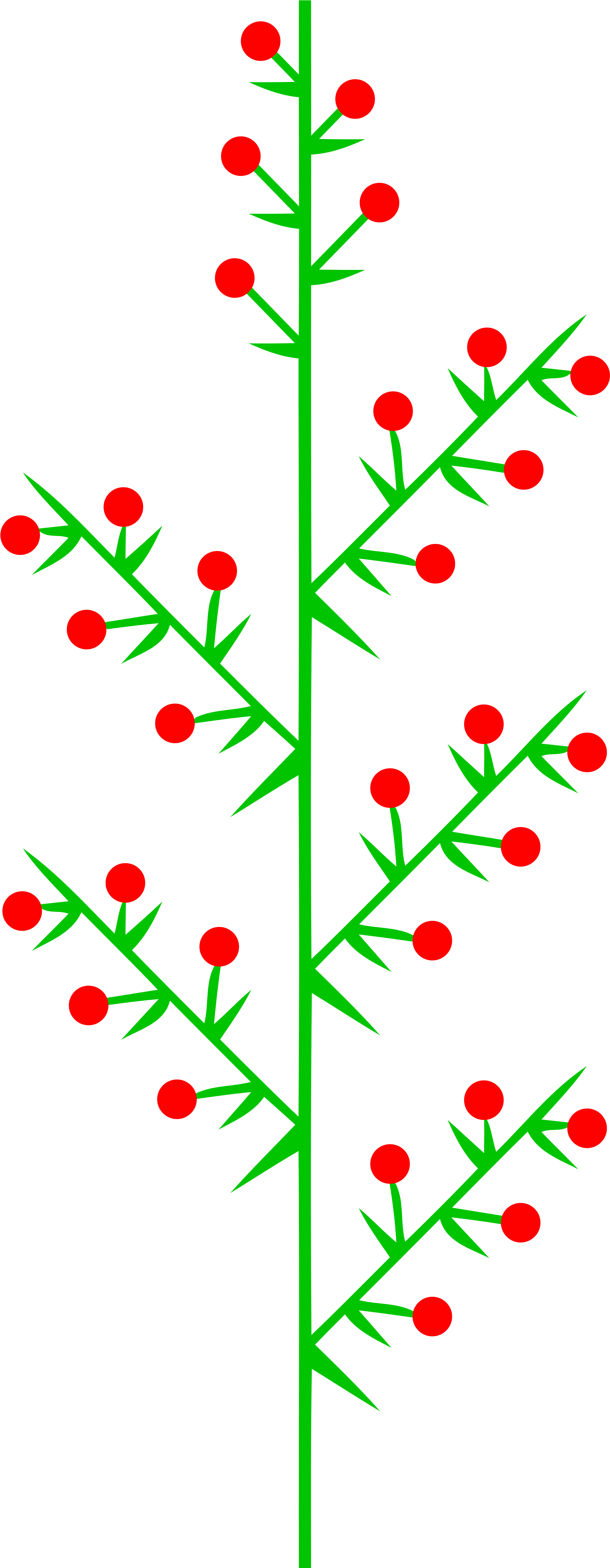 Open - Blütenstand Doppeltraube (2000x4989), Png Download