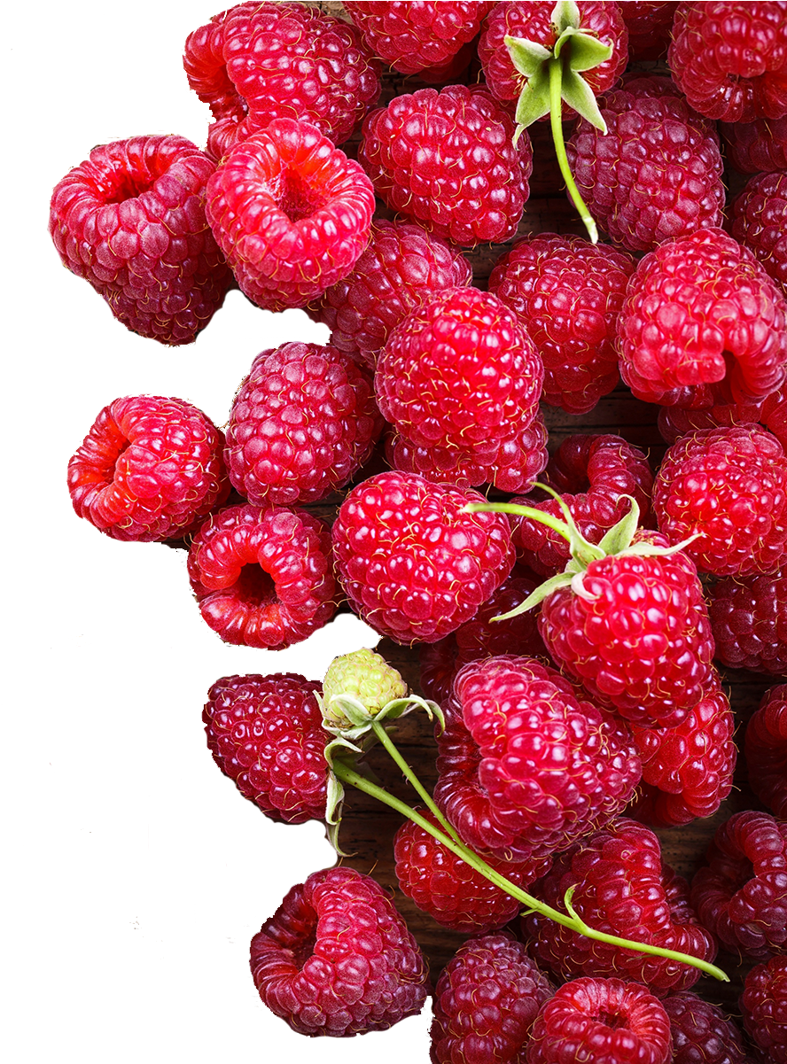 Wildebraam Berry Festival Background - Diet Diagnosis (dr Healthnut): Navigating The Maze (1281x1200), Png Download