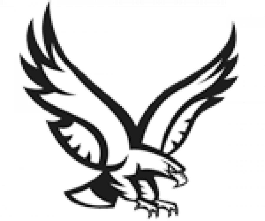 Download Golden Eagle Logo Png Clipart Bald Eagle Logo - New York Mills Eagles Logo (900x750), Png Download