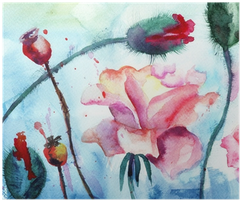 Roses With Poppy Flowers, Watercolor Painting Poster - Pintura En Acuarela (400x400), Png Download