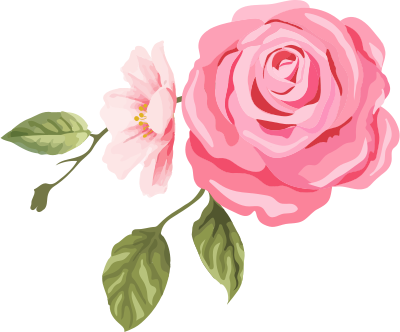 Rose1 - Svg - Flower (400x332), Png Download