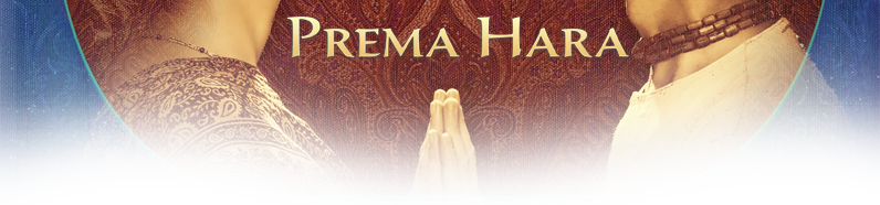 Skip To Content - Prema Hara (796x186), Png Download