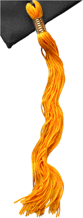 Herzing University Graduation Cap - Herzing University Online (310x767), Png Download