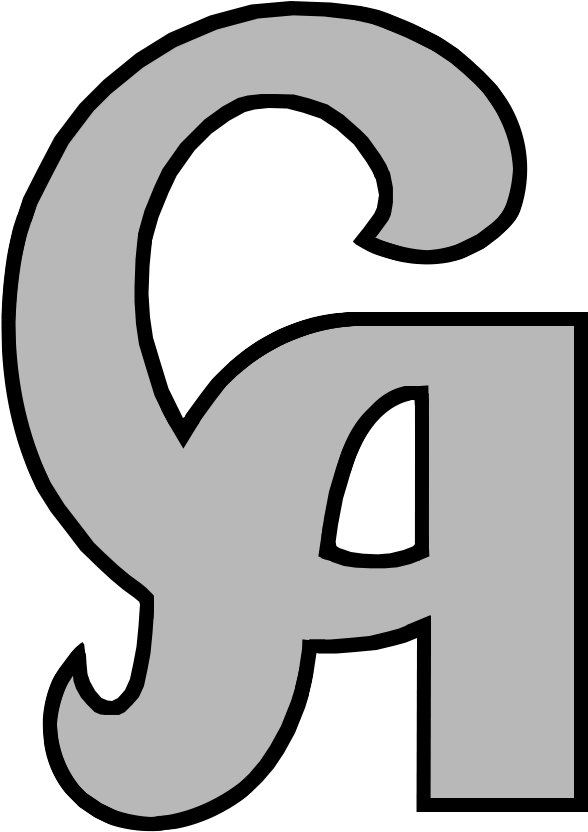 Information - Ca Cricket Bat Logo (600x840), Png Download