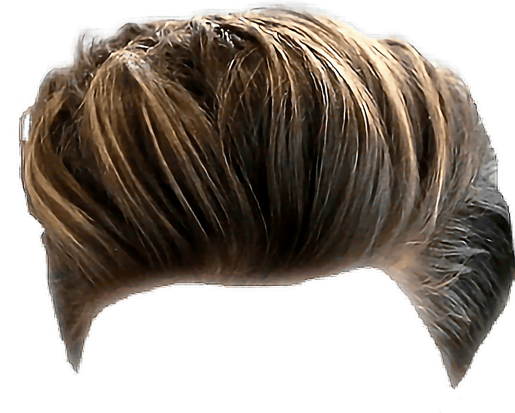 Hairhaircut Hairstyle Sticker By Daantjw - Hair Sticker For Picsart (740x594), Png Download