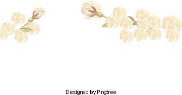 White Flowers, Creative White Flowers, Painted White - Painting (360x360), Png Download