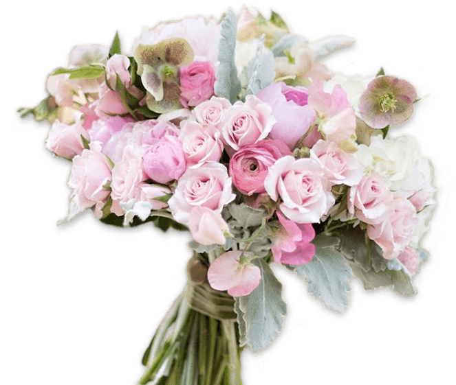 Wedding Ceremony And Reception Venues - Garden Roses (670x578), Png Download