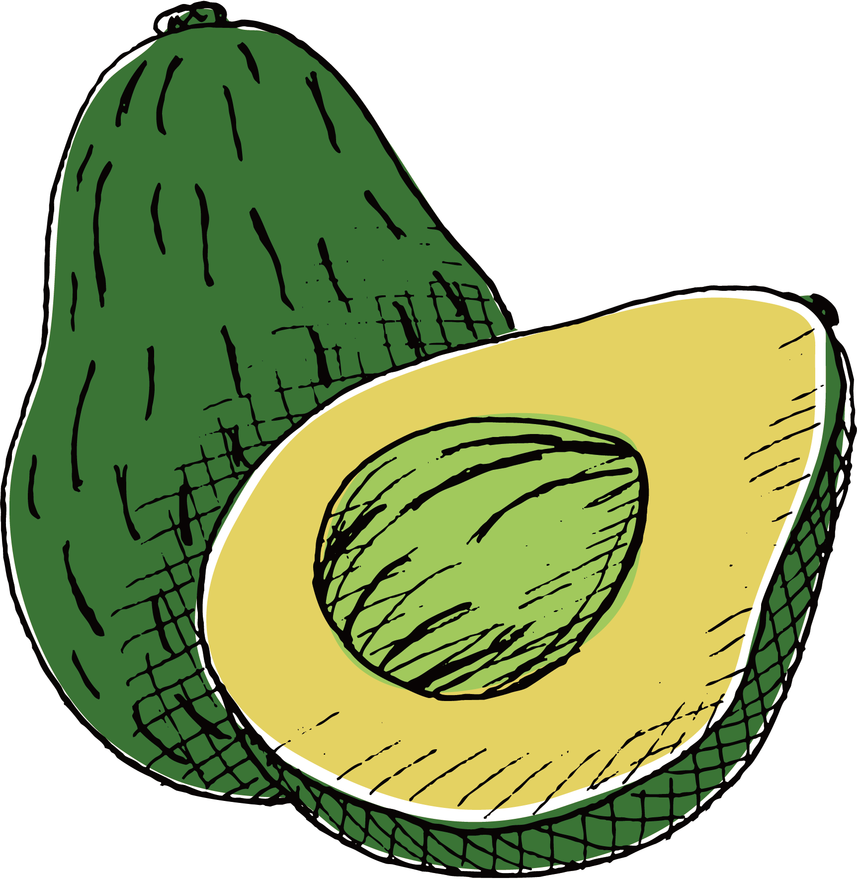 Watercolor Painting Printmaking Drawing Avocado - Avocado Drawing Png (1724x1768), Png Download