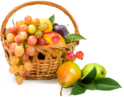Fruit (485x381), Png Download