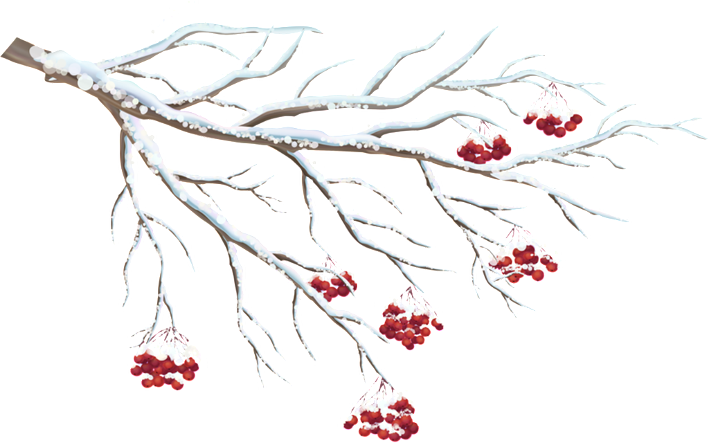 Dry Winter Branches Transparent - Wintry Cardinals Small Boxed Holiday Cards [book] (1024x640), Png Download