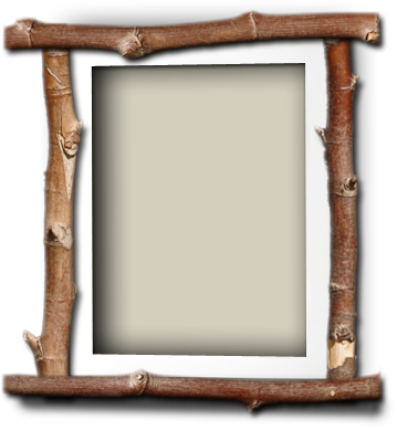Send Flowers - Picture Frame (359x389), Png Download
