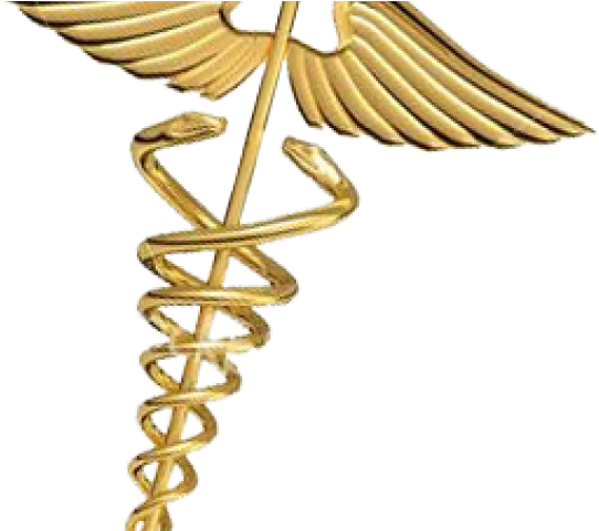 Doctor Symbol Caduceus Png Transparent Images - Caduceus Over A White Background: Blank 150 Page Lined (640x480), Png Download