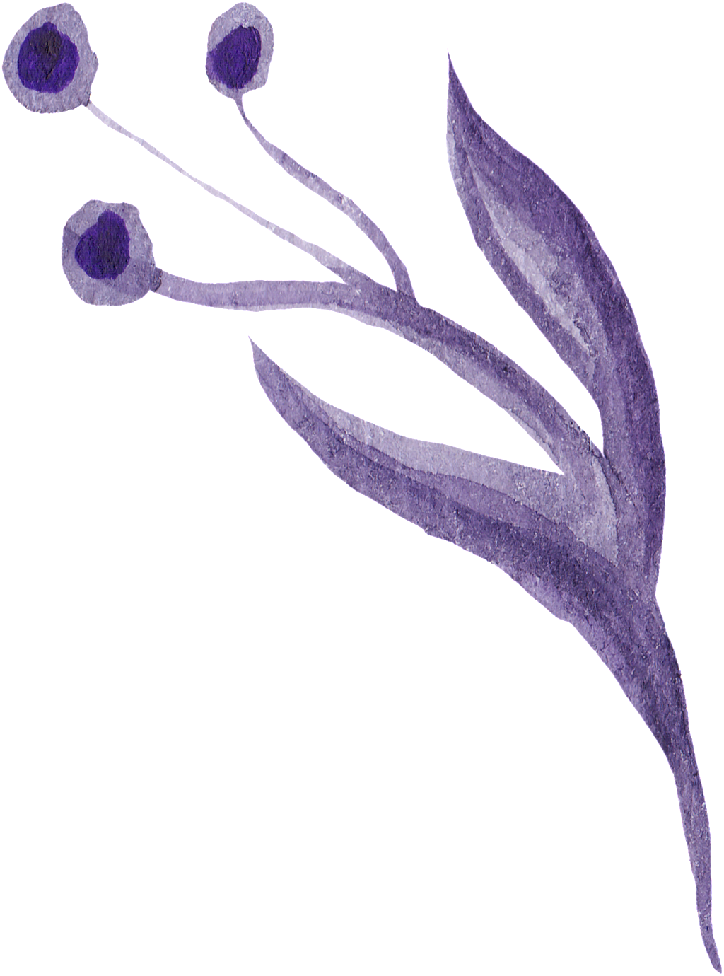 Deep Purple Flower Cartoon Transparent - Purple (1024x1380), Png Download