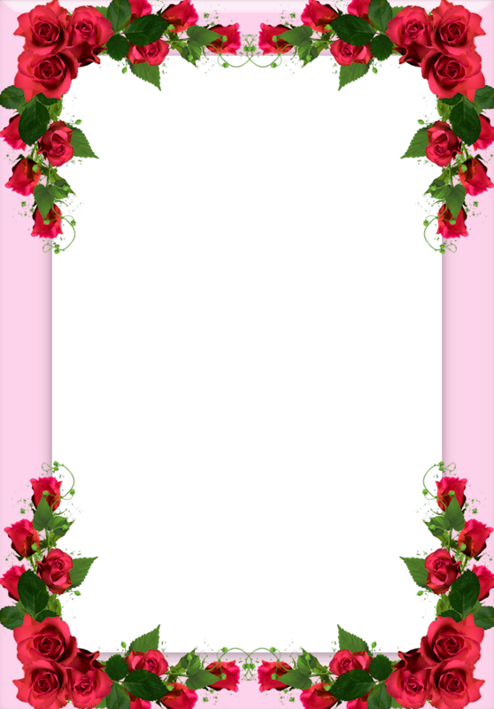 Borders For Paper, Borders And Frames, Special Pictures, - Rose Flower Frame Png (558x800), Png Download