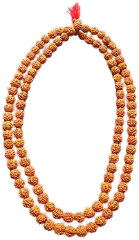 Image - Necklace (358x380), Png Download