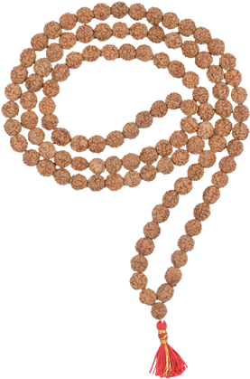 2 Mukhi Rudraksha Mala (500x500), Png Download