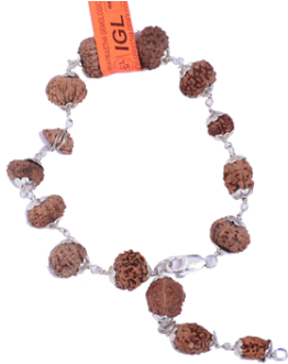 Multi Combination Multiple Purpose Rudraksha Bracelet - Bead (500x500), Png Download