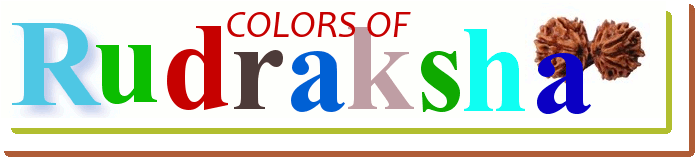 Rudraksha Color - Karina Sin Verguenza (725x187), Png Download
