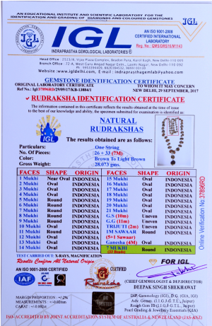 Multi Combination Multiple Purpose Rudraksha Mala 26 - Blue Sapphire / Neelam / Nilam - 4.60 Ct - Lab Certified (500x500), Png Download