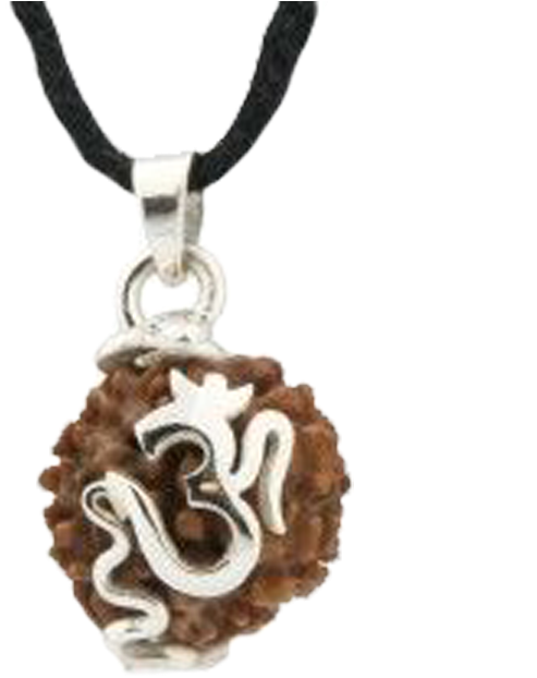 Silver Rudraksha Om Pendant - Rudraksha Pendant In Silver (700x700), Png Download