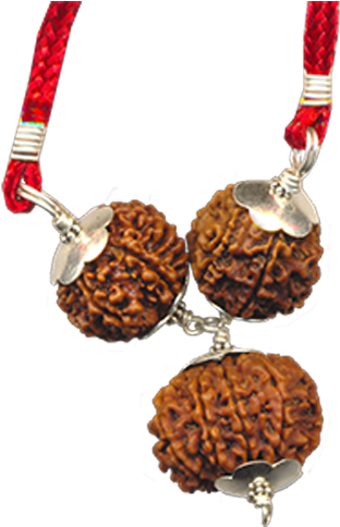 Career Growth Rudraksha - Necklace (500x500), Png Download