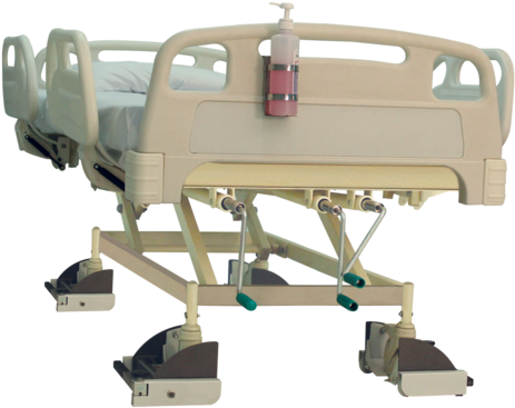 Ds-215 Bed Scale - Weighing Scale Manufacturer | Industrial Scales | Digital (500x500), Png Download