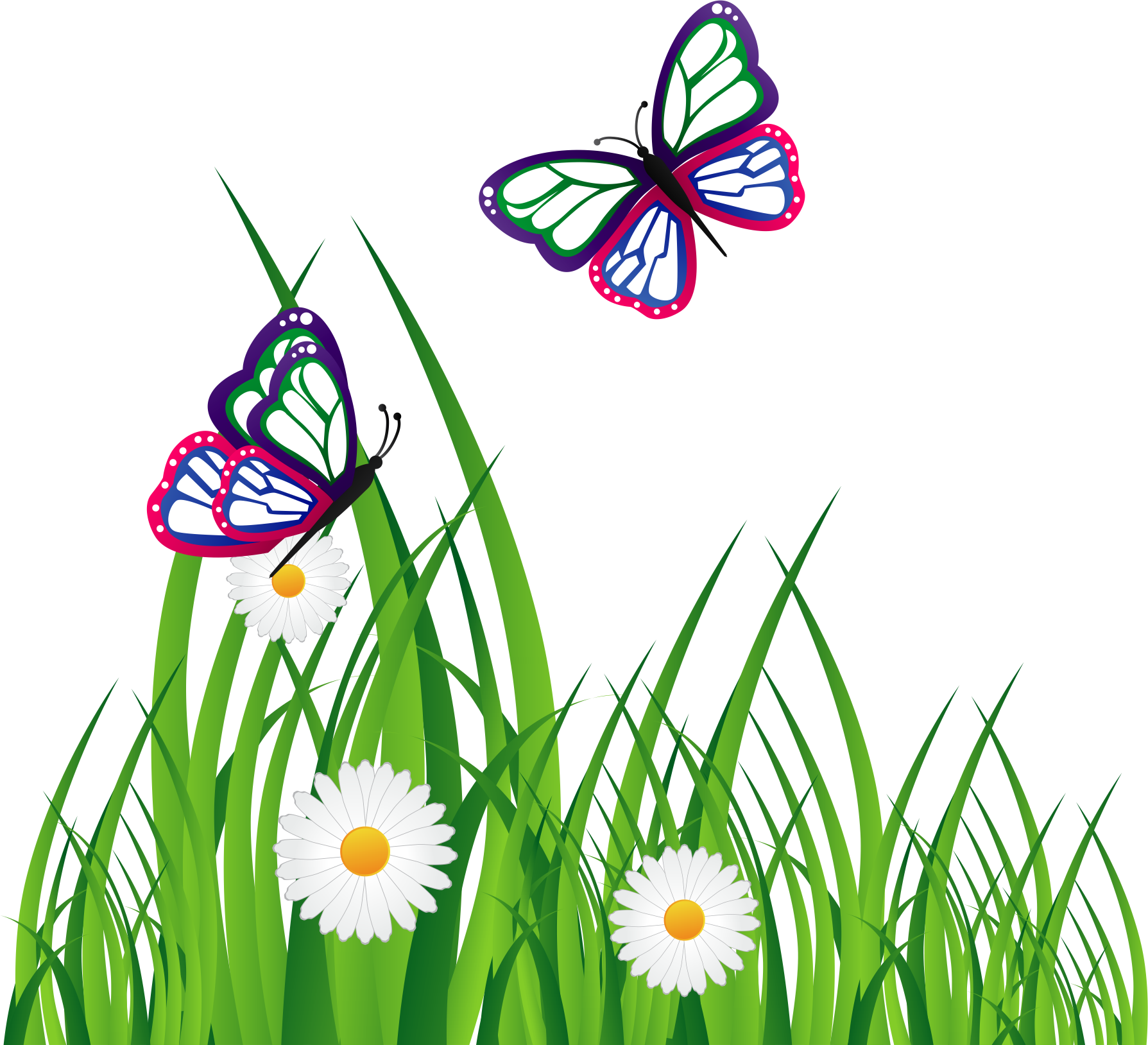 Adobe Illustrator Graphic Design Download - Vector Graphics (1789x1628), Png Download