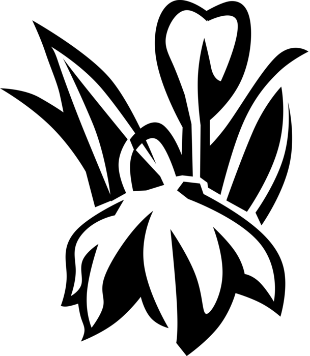 Vector Illustration Of Blue Eyed Grass Satin Flower - Emblem (609x700), Png Download