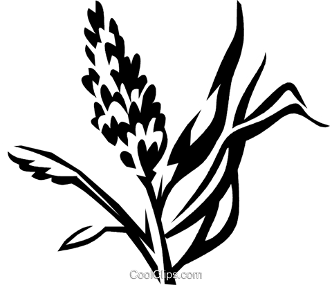 Marsh Grass Royalty Free Vector Clip Art Illustration - Marsh Grass (480x412), Png Download