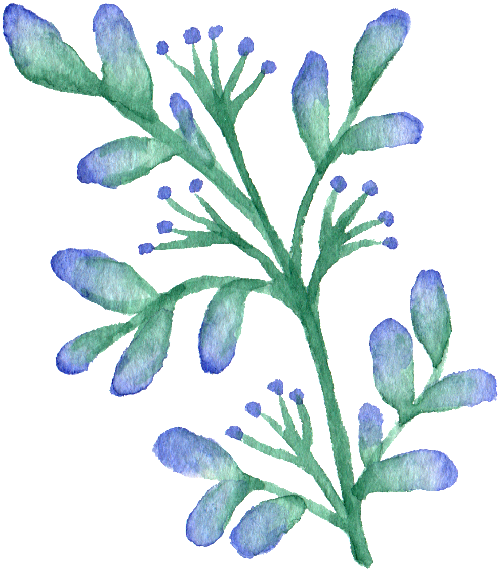 Hand Painted Gradient A Flower Watercolor Transparent - Watercolor Painting (1024x1163), Png Download