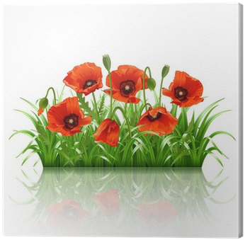 Наклейка Декоративная Decoretto Долина Маков (400x400), Png Download