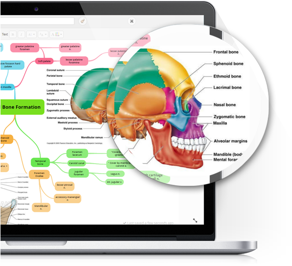 Mind Mapping Tool - Mind Mapping (631x540), Png Download