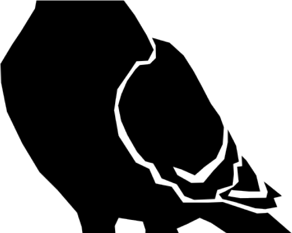 Share - Si J Étais Un Pigeon (640x480), Png Download