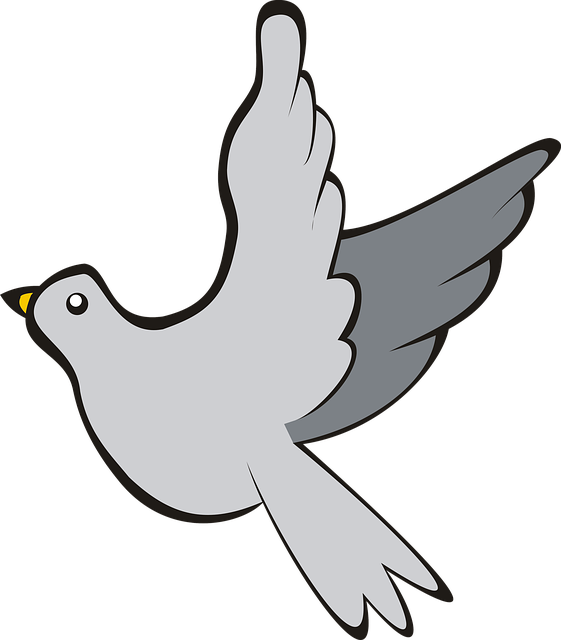 Free Photo Adobe Sky Bird Flight Pigeon Adobe Photoshop - Bird (561x640), Png Download