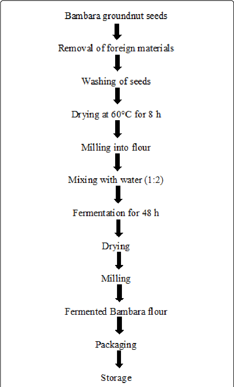 Process Flow Chart For The Production Of Fermented - Fermentation (769x1262), Png Download