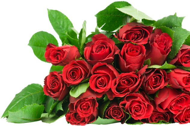 Free Ppt Backgrounds For Powerpoint Templates - Beautiful Background Images For Ppt (800x531), Png Download