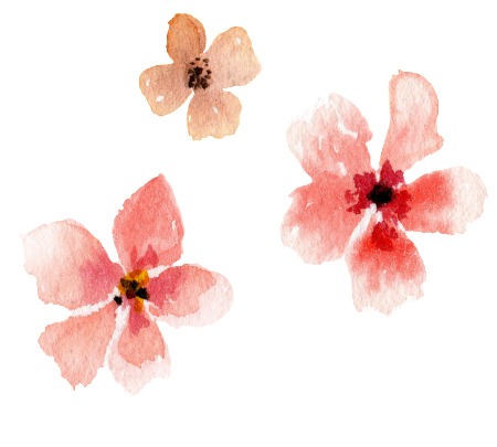 Pink Watercolor Hand-painted Flower Transparent Material - Watercolor Painting (650x892), Png Download
