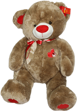 Valentine Plush - Teddy Bear (683x528), Png Download