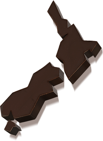 Chocolate Pieces Shaped Like New Zealand - Chocolate (332x455), Png Download