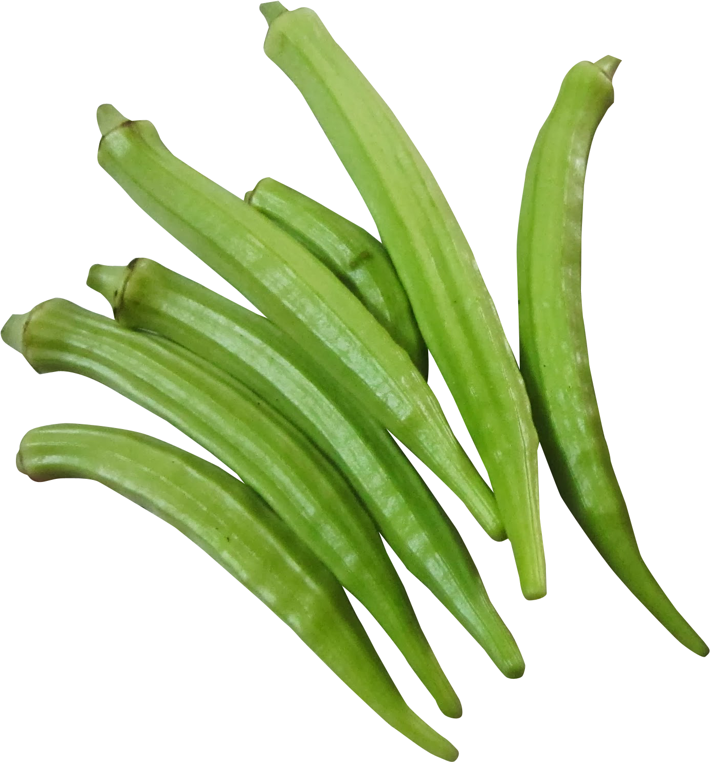 Okra Png (1512x1595), Png Download