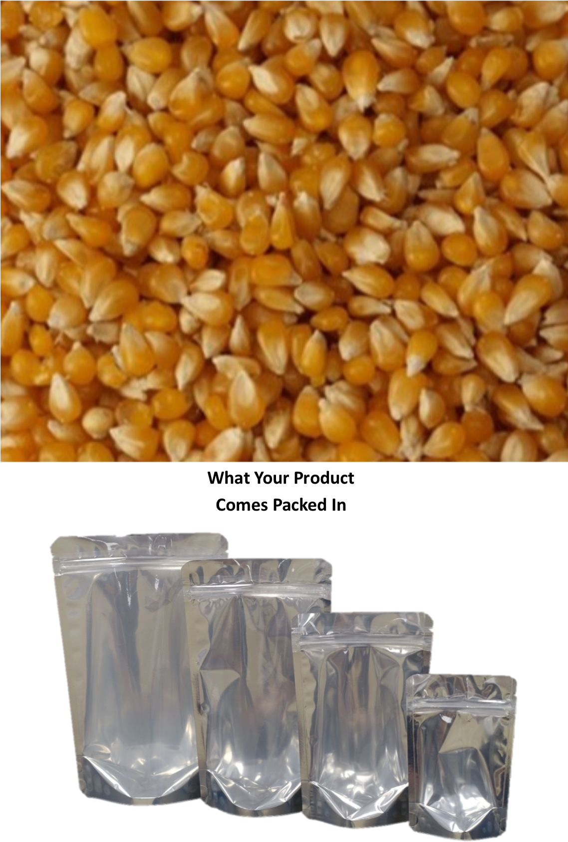 Amish Country Ladyfinger Popcorn Kernels - Sweet Popcorn (1149x1692), Png Download