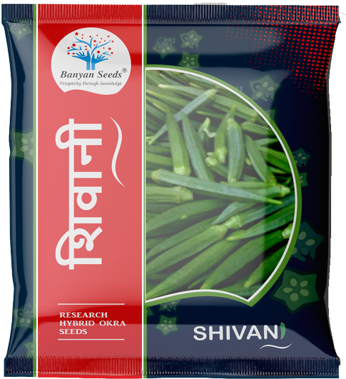 Lady Finger Seeds - Sneha (500x554), Png Download