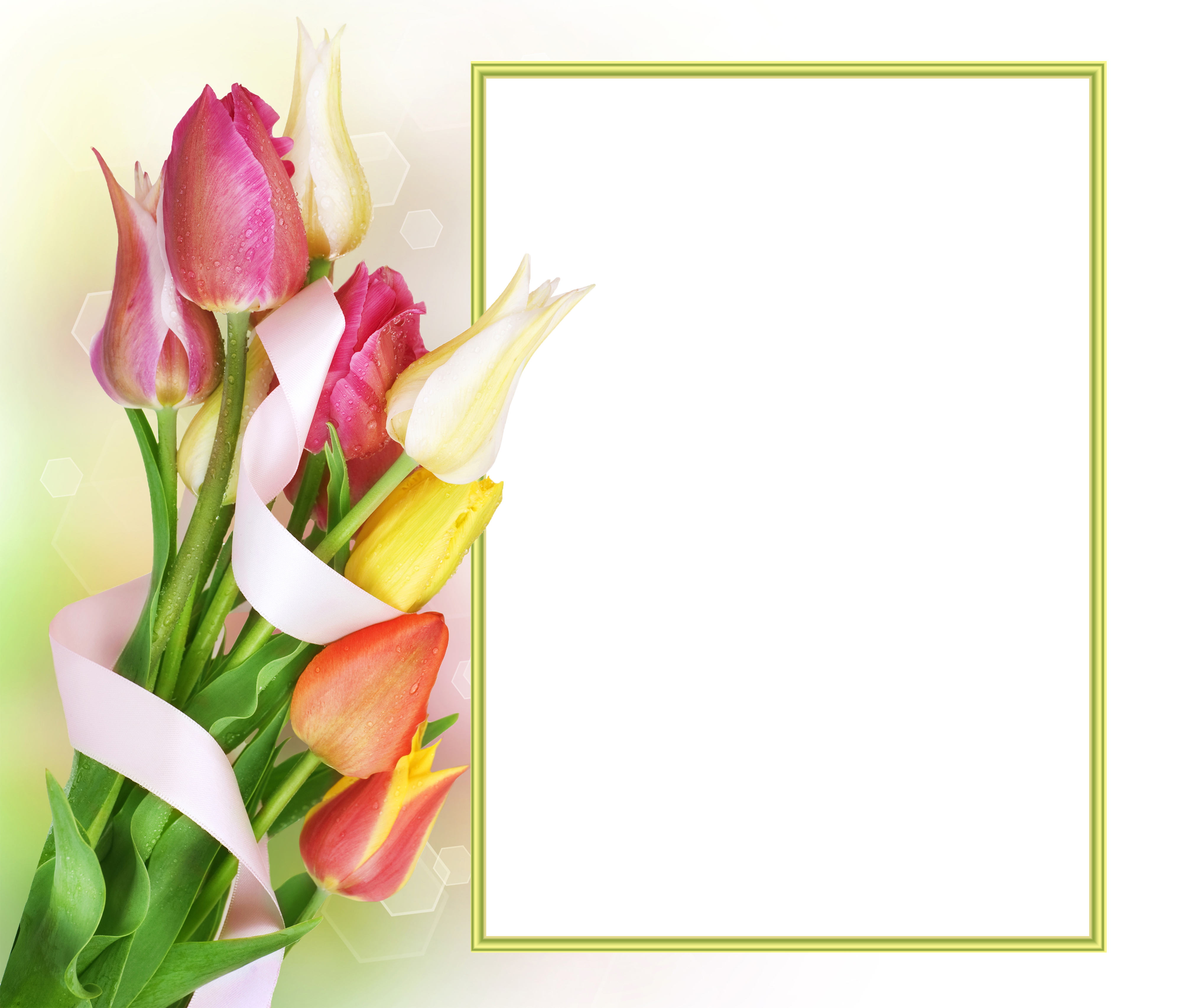 Flowers Tulip Frame Png (4000x3411), Png Download