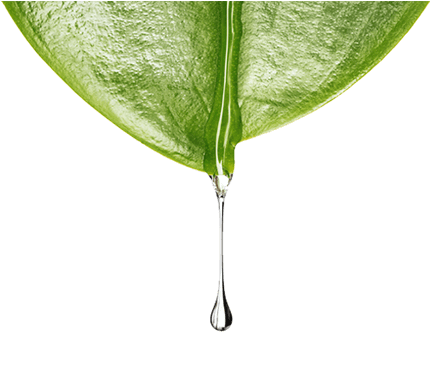 Cellule Staminali Vegetali - Violux 100ml Violet Glass Dropper Bottle W/ Pipette (429x429), Png Download