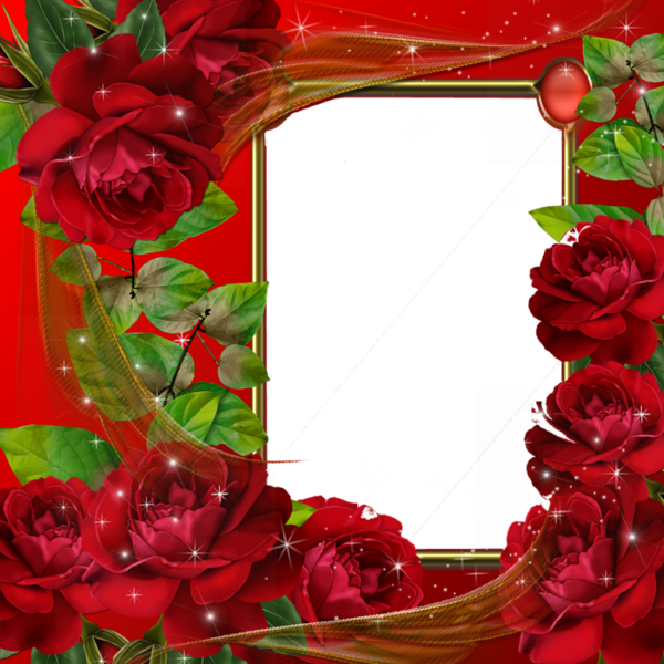 Beautiful Red Roses Transparent Photo Frame - Red Roses Photo Frames (600x600), Png Download